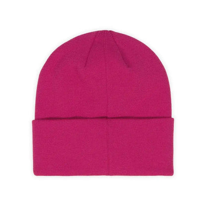 Powell Core Logo Beanie